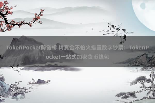 TokenPocket跨链桥 精真金不怕火措置数字钞票：TokenPocket一站式加密货币钱包