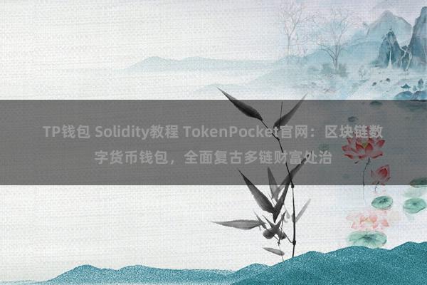 TP钱包 Solidity教程 TokenPocket官网：区块链数字货币钱包，全面复古多链财富处治